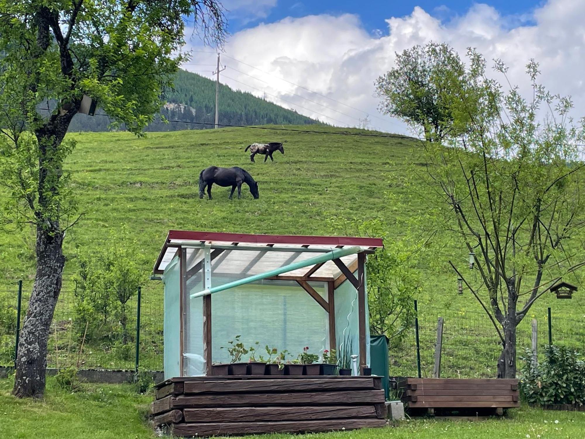 Apartment Sonne&Luft Bad Bleiberg Luaran gambar